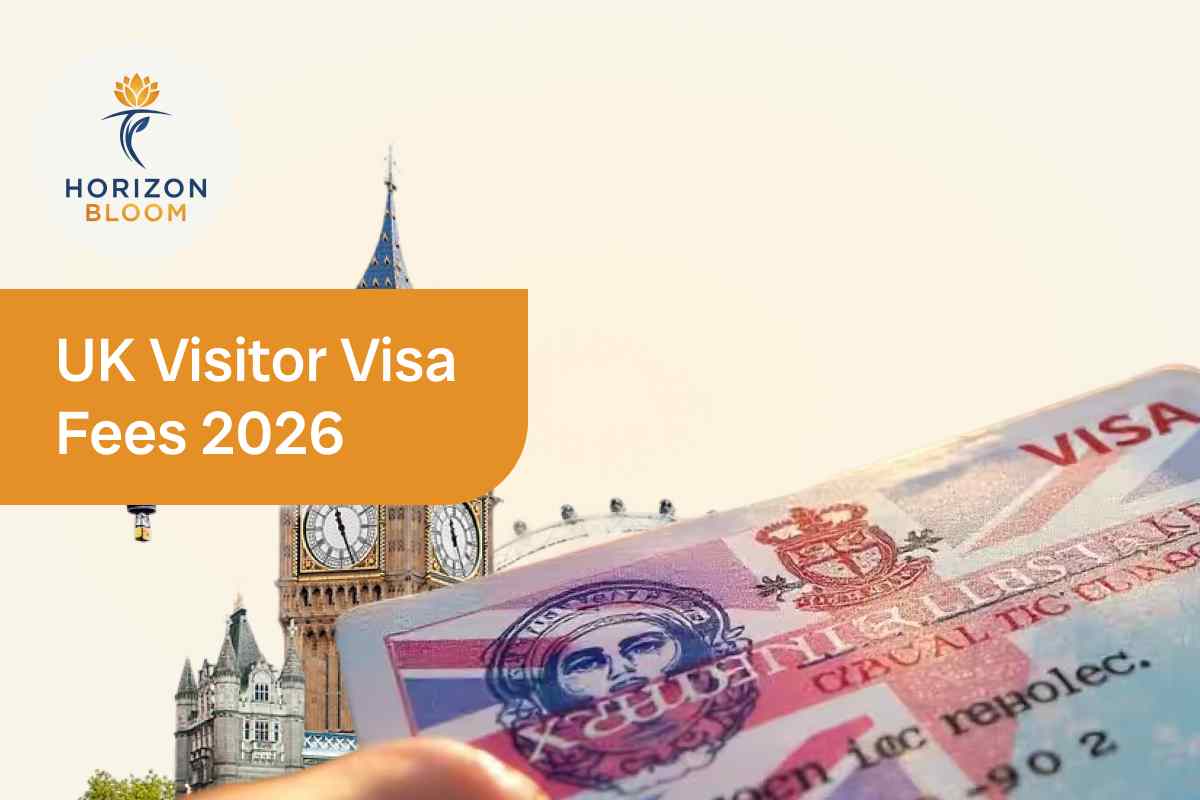 UK visitor visa fees